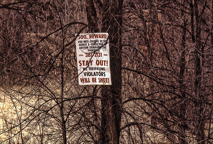 No Trespassing Sign On Tree In Woods Photograph by Errol Wilson