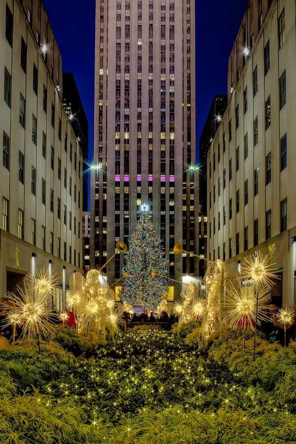  NYC Rockefeller Center Christmas Tree Photograph by Susan Candelario