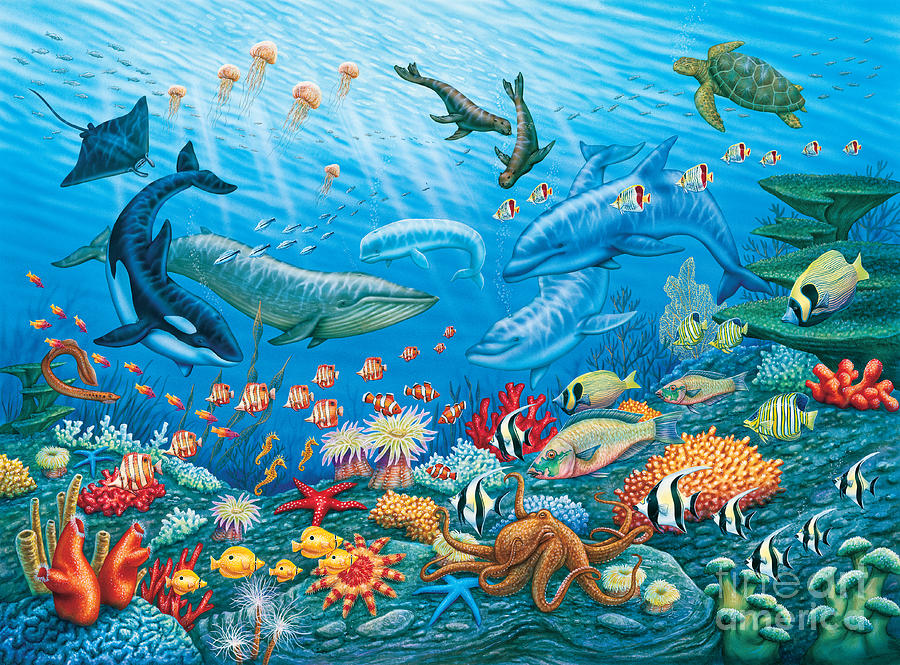 Ocean Life by Phil Wilson