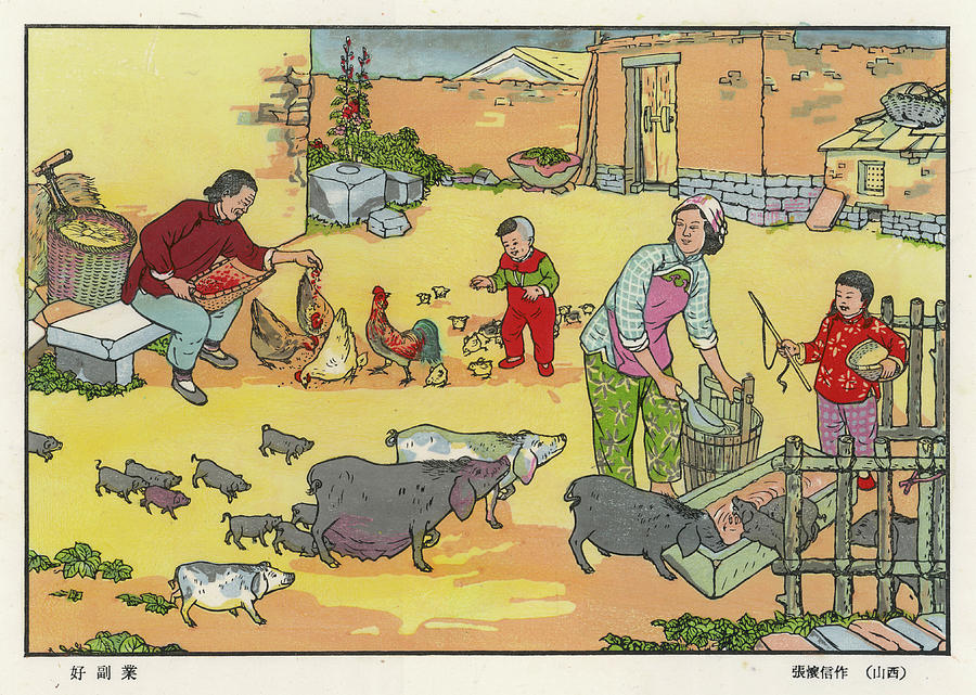 farmer feeding animals