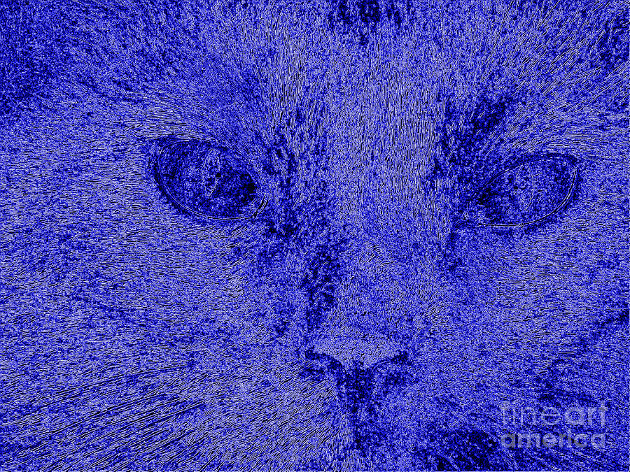  One in a  Million. Portrait of Cat. Art Digital Art by Oksana Semenchenko