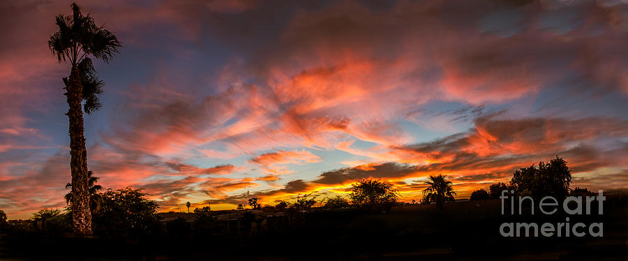   Panormaic Sunset Photograph by Robert Bales