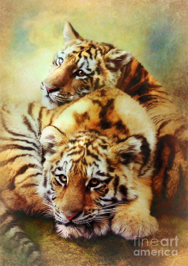  Petit Tigres Digital Art by Trudi Simmonds