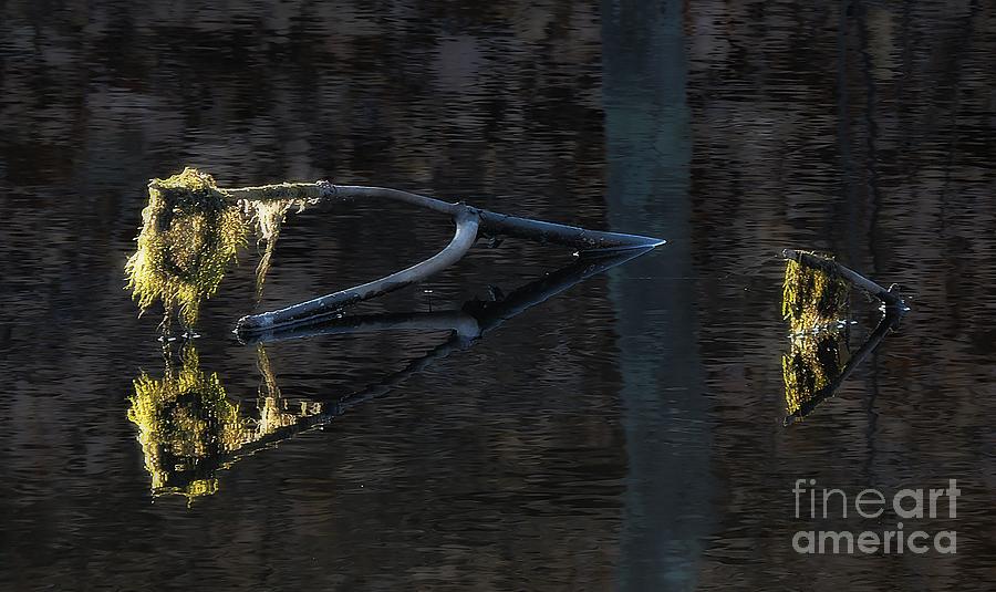 Last Pond Rays Photograph by Marcia Lee Jones