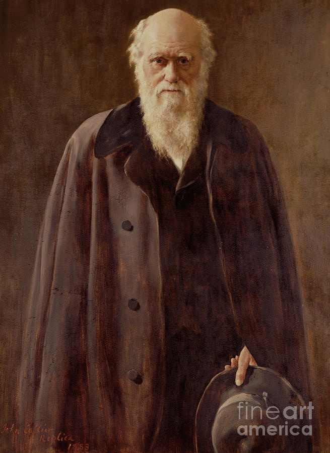  Portrait of Charles Darwin Painting by John Collier