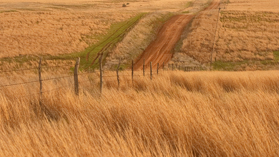  Prairie Photograph by Jack Milchanowski