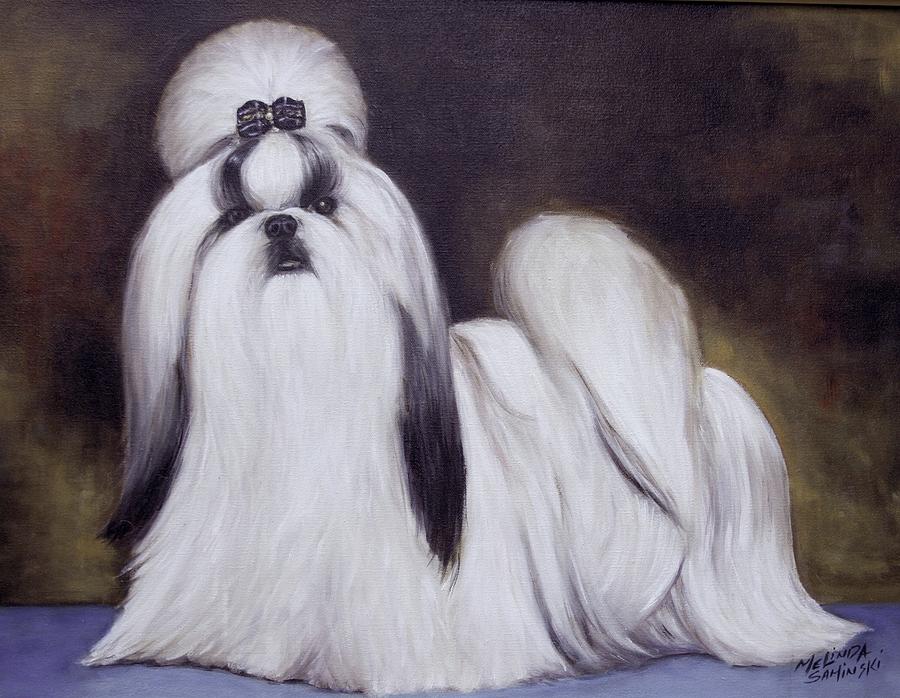 Dog Painting -  Pretty Showdog Shih tzu by Melinda Saminski