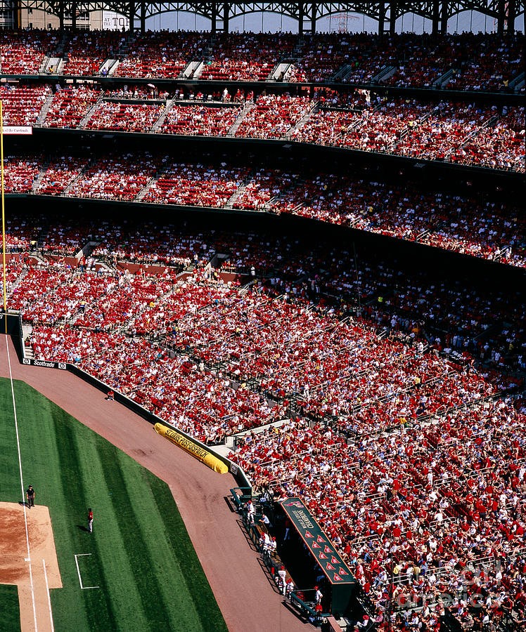 Left Field at Busch Stadium Photograph by Tracy Knauer - Pixels