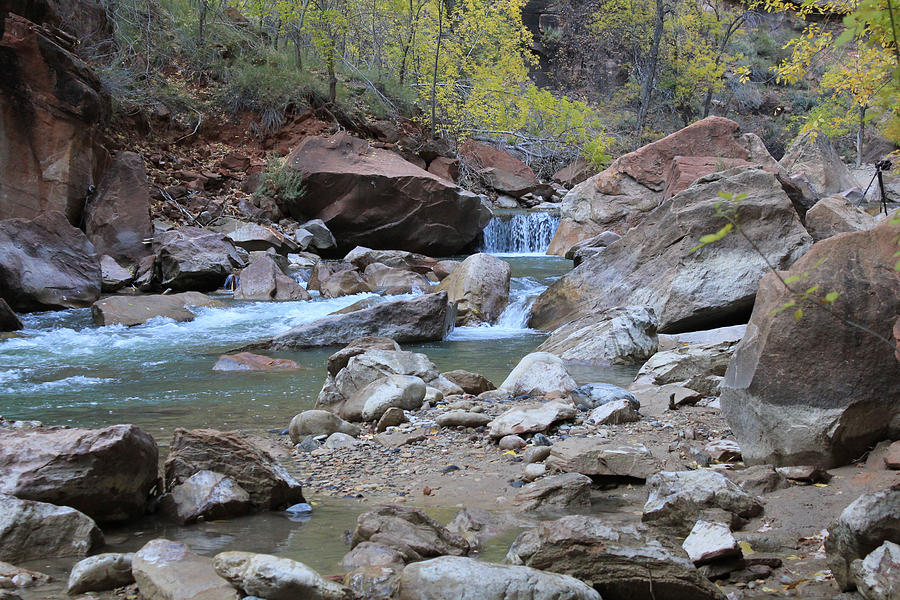  River in Zion National Park Photograph by Susan Jensen