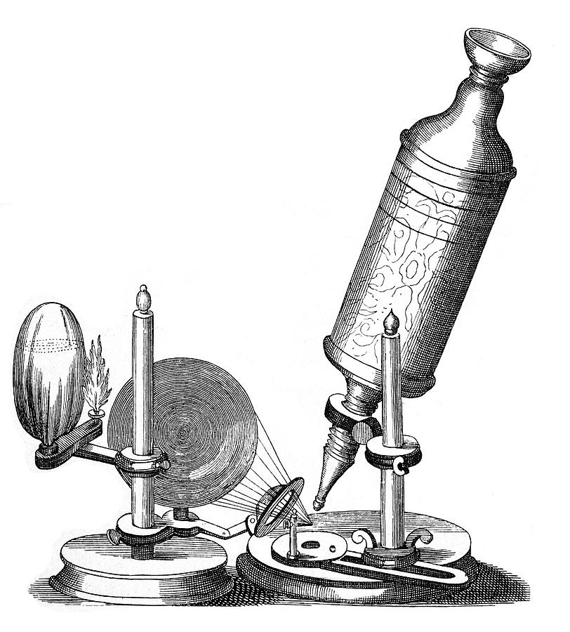 Robert Hooke's Microscope Drawing by Mary Evans Picture Library Fine