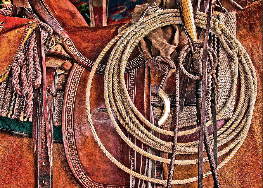  Rope and Saddle Photograph by David and Carol Kelly
