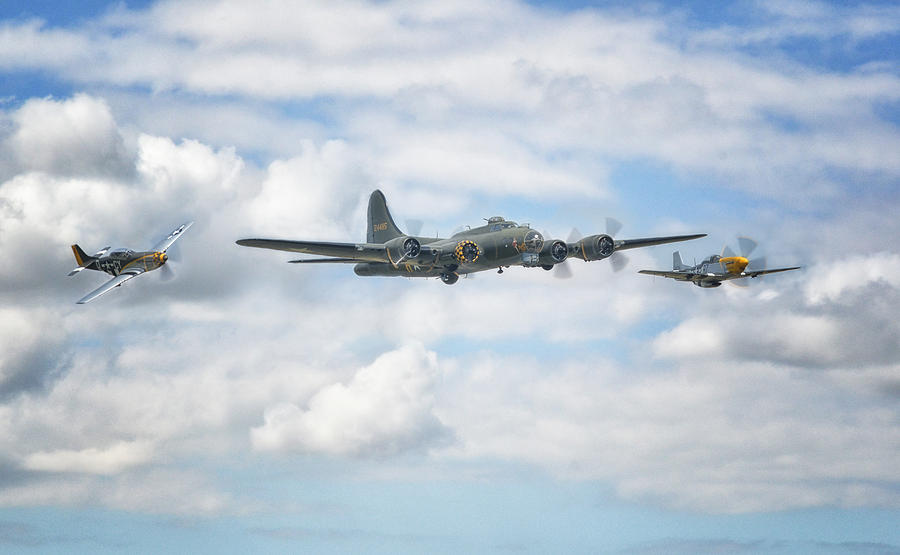  Sally B with her little friends Photograph by Jason Green