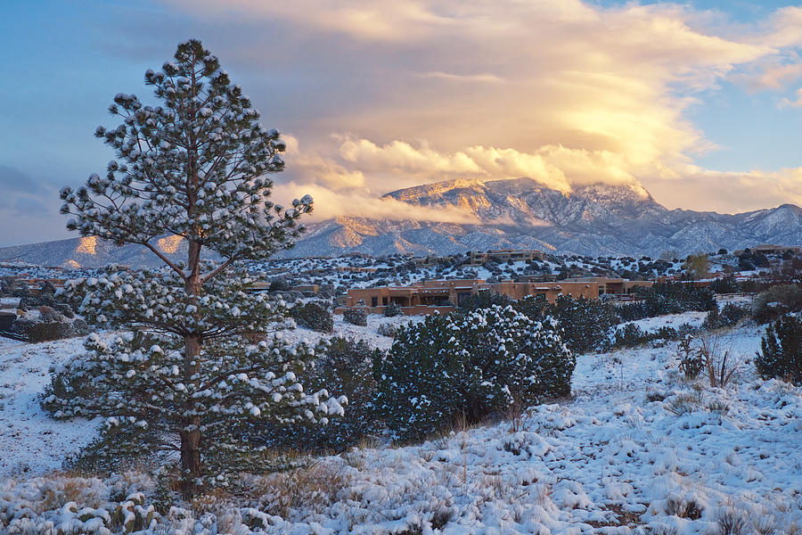 Landscape Photograph -  Sandia Mountains with Snow at Sunset by Mary Lee Dereske