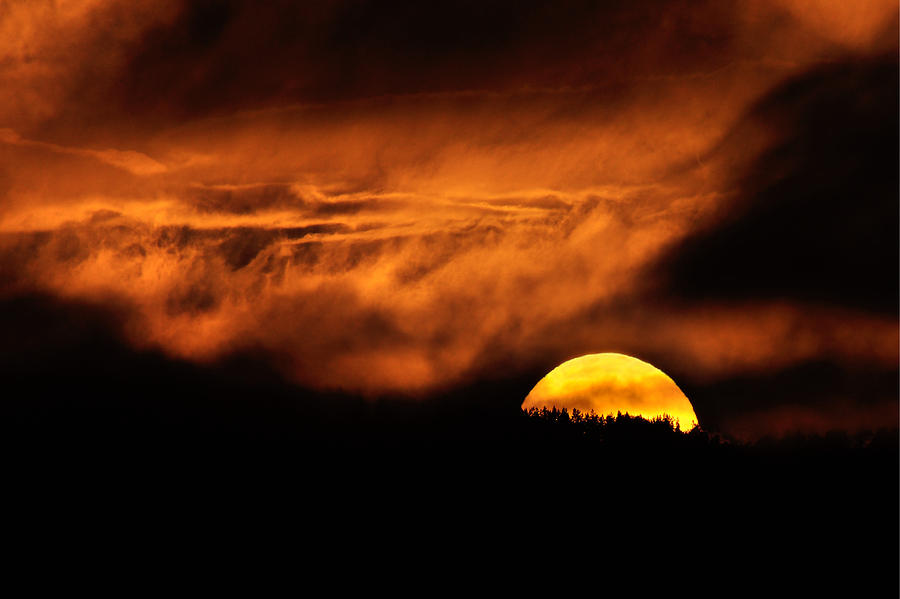 Setting Sun Photograph by Gavin Macrae