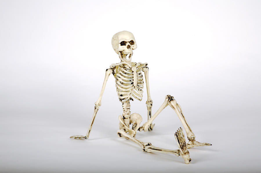Skeleton Model Photograph by Matthew Steigbigel Skeleton Model Photograph by Matthew Steigbigel