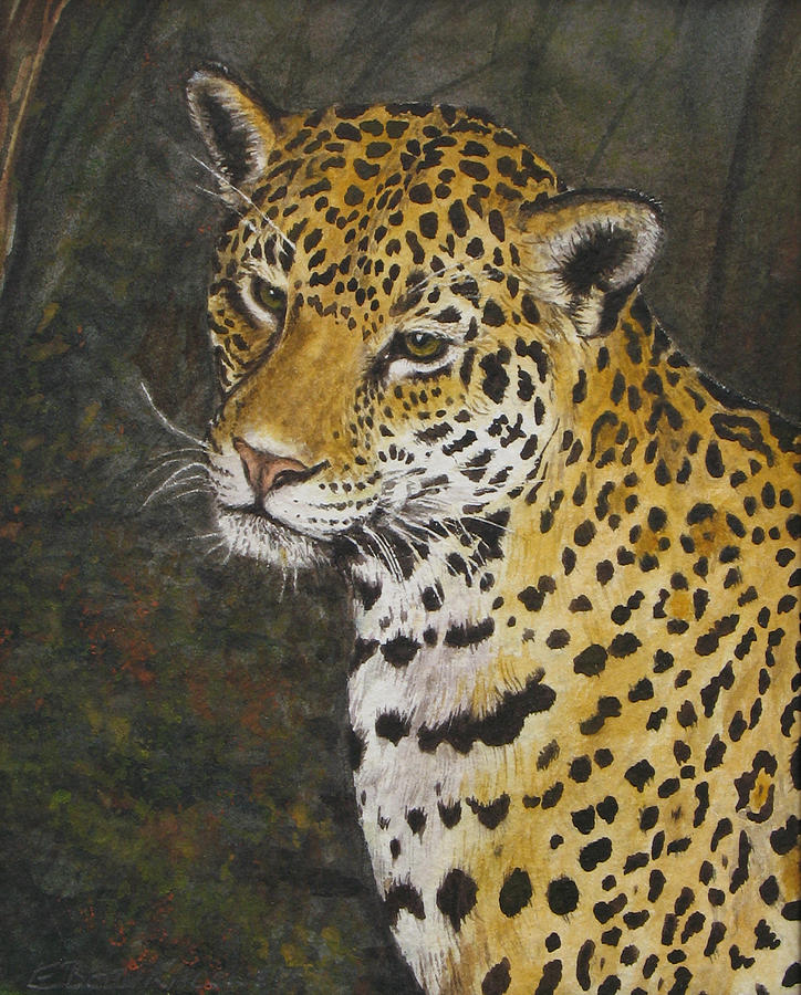 South American Jaguar Painting By Elaine Booth-kallweit - Fine Art America