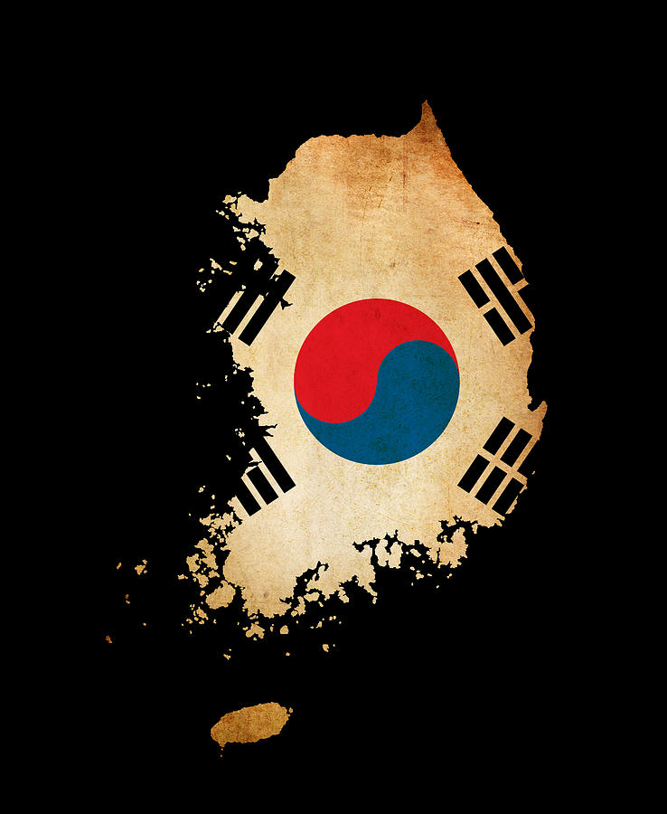 cool south korean flag