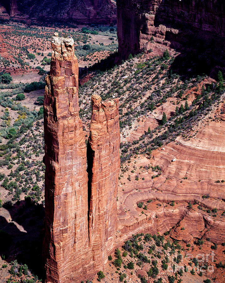 Desert Photograph -  Spider Rock  by Tracy Knauer