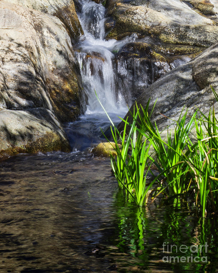 Waterfall Photograph -  Spring Waterfall  by L J Oakes