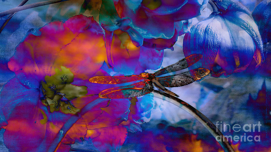  Stunning  photographic Art Dragonfly Mixed Media by Beverly Guilliams