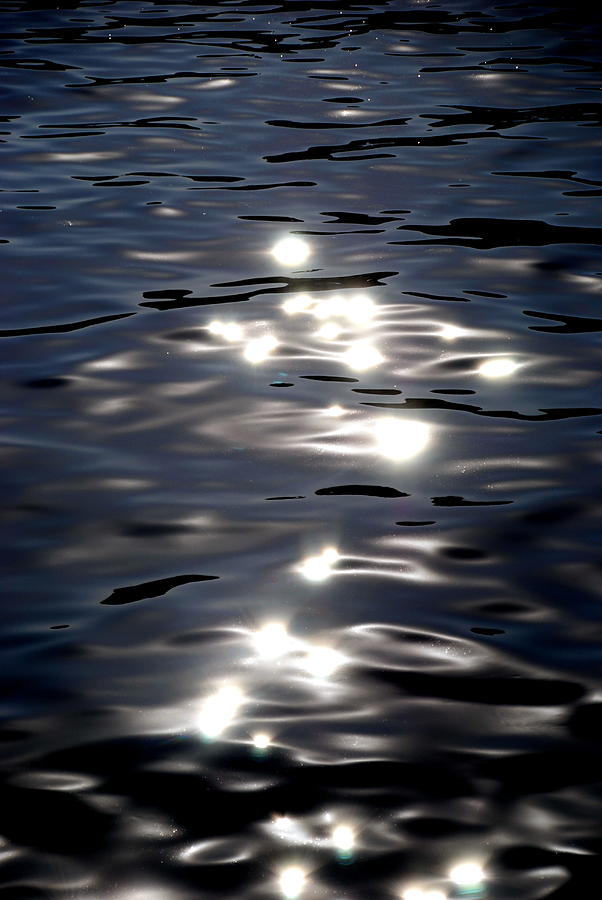  Sunlight and Water - Vertical Photograph by Jacqueline M Lewis