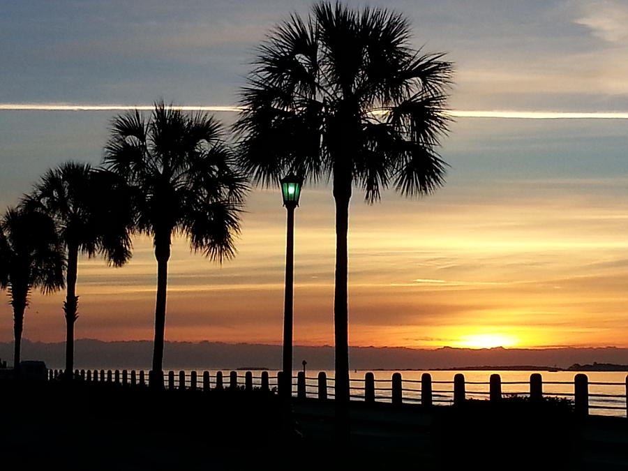  Sunrise Beyond Carolina  Palms Photograph by Joetta Beauford