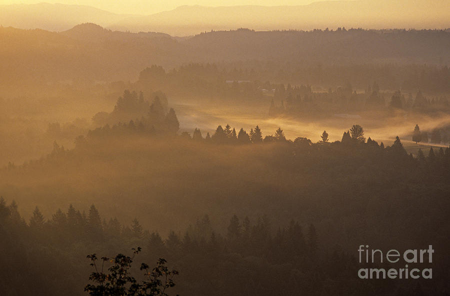 Sunrise Overlooking Valley With Trees And Low Fog And Fields Gr Photograph