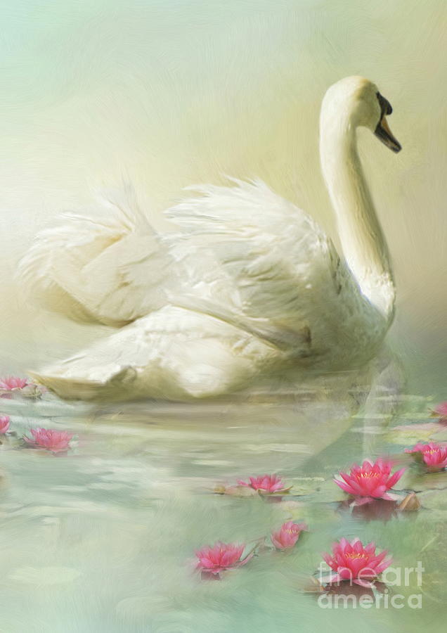 Swan Song Digital Art by Trudi Simmonds