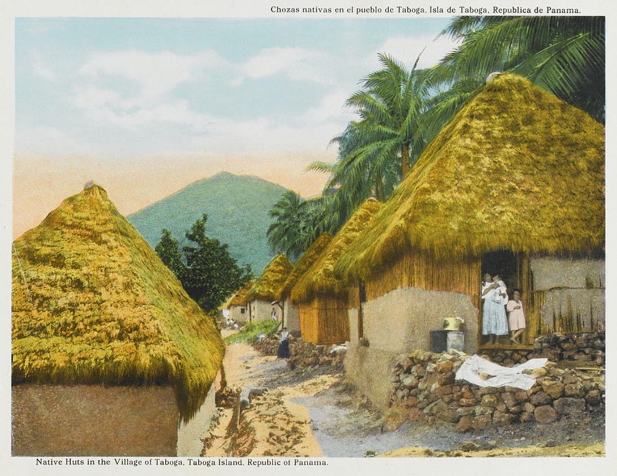 Taboga, Taboga Island Native Huts Photograph By Mary Evans Picture 