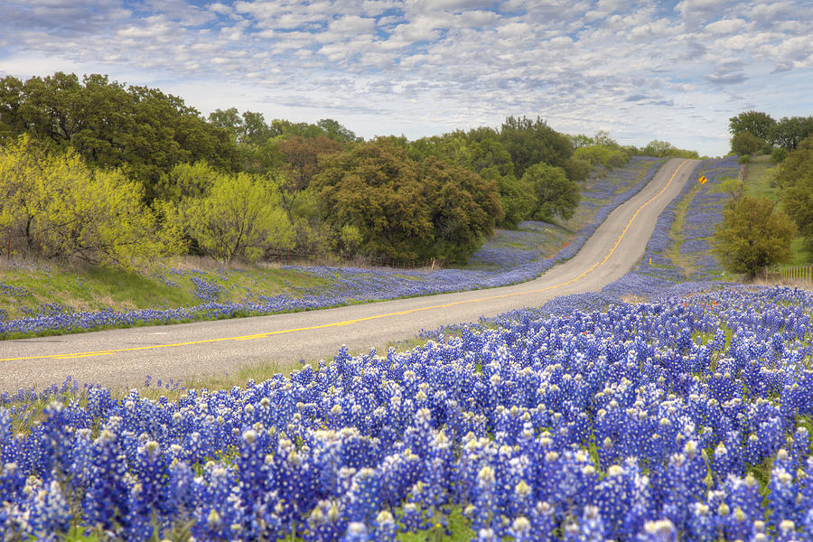  Texas Bluebonnet Highway - Texas Hill Country Photograph by Rob Greebon