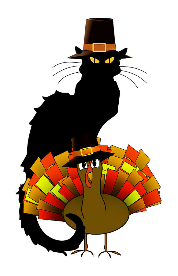  Thanksgiving Le Chat Noir With Turkey Pilgrim Digital Art by Gravityx9  Designs