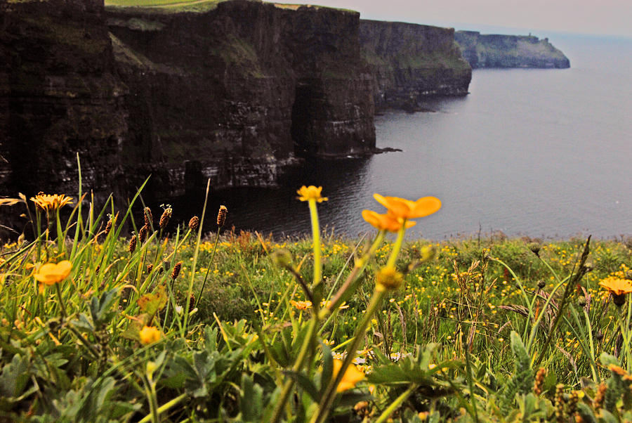  The Cliffs of Moher Photograph by Will Burlingham