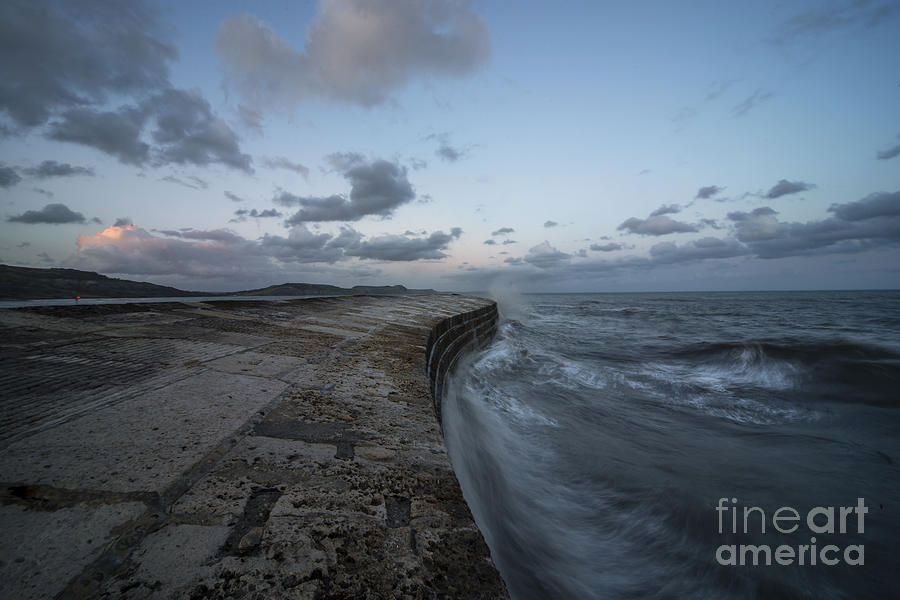 Spring Photograph -  The Cobb at Lyme Regis  by Rob Hawkins