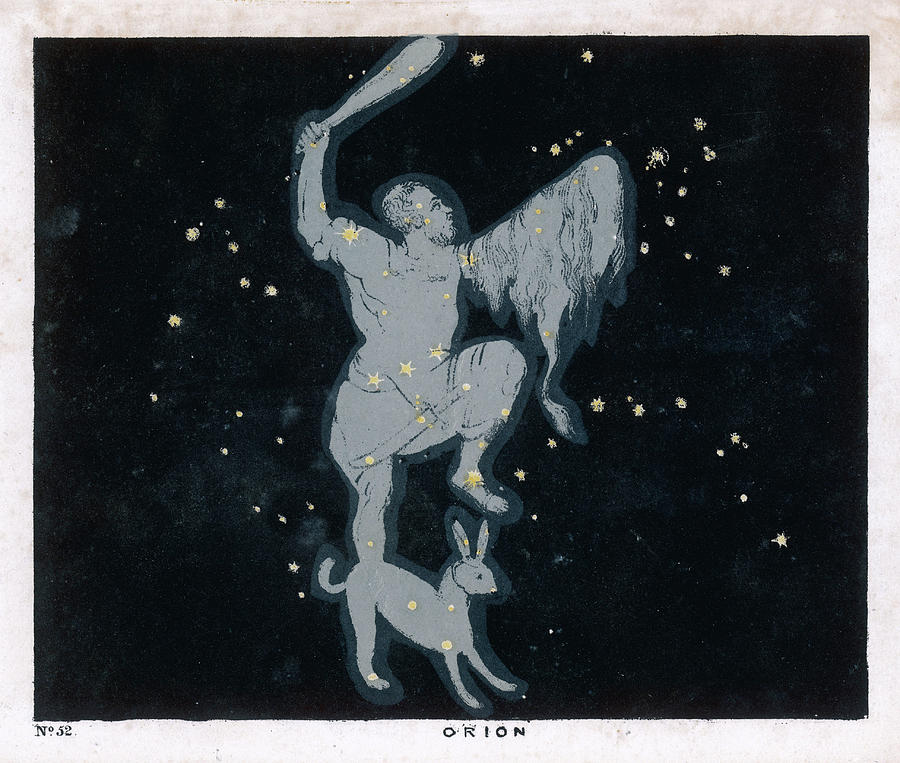 The Constellation Of Orion, One Drawing by Mary Evans Picture Library