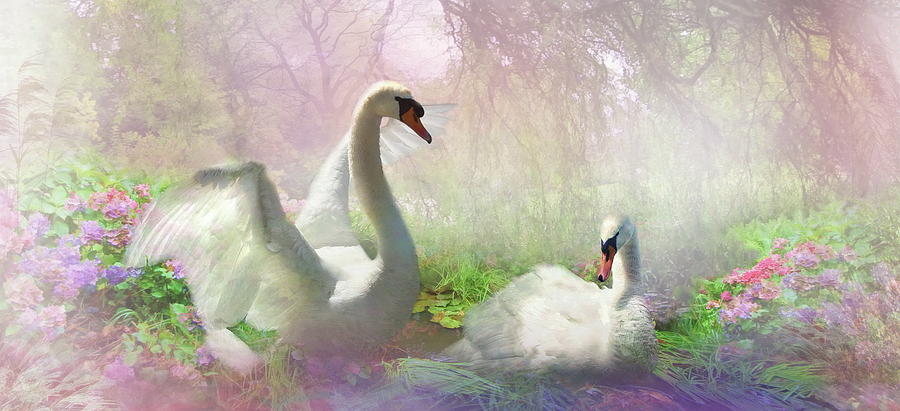 Swan Digital Art -  The Lightness of Being by Trudi Simmonds