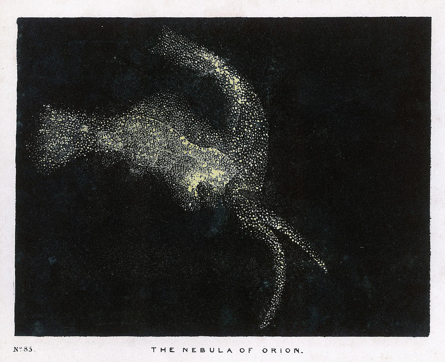 The Nebula Of The Constellation, Orion Drawing by Mary Evans Picture