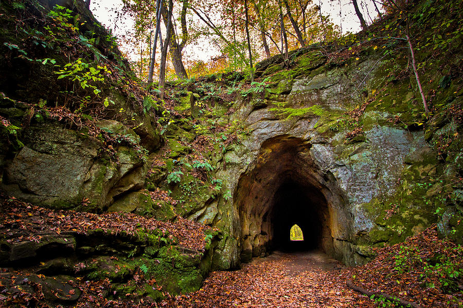 Nature Photograph -   The Ohio Electric Interurban Tunnel  by Victoria Winningham