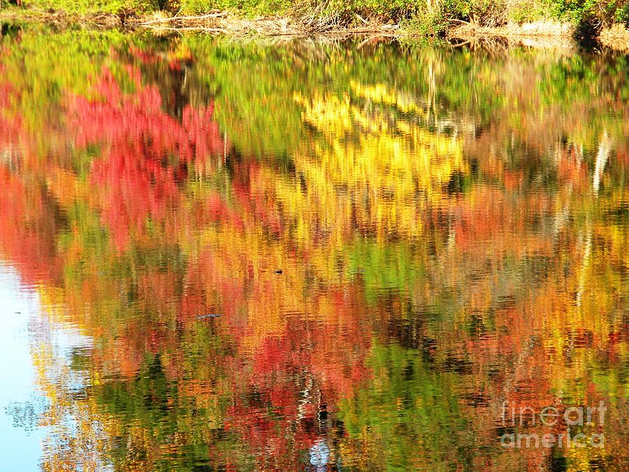  The Painting Of Autumn Digital Art by Matthew Seufer