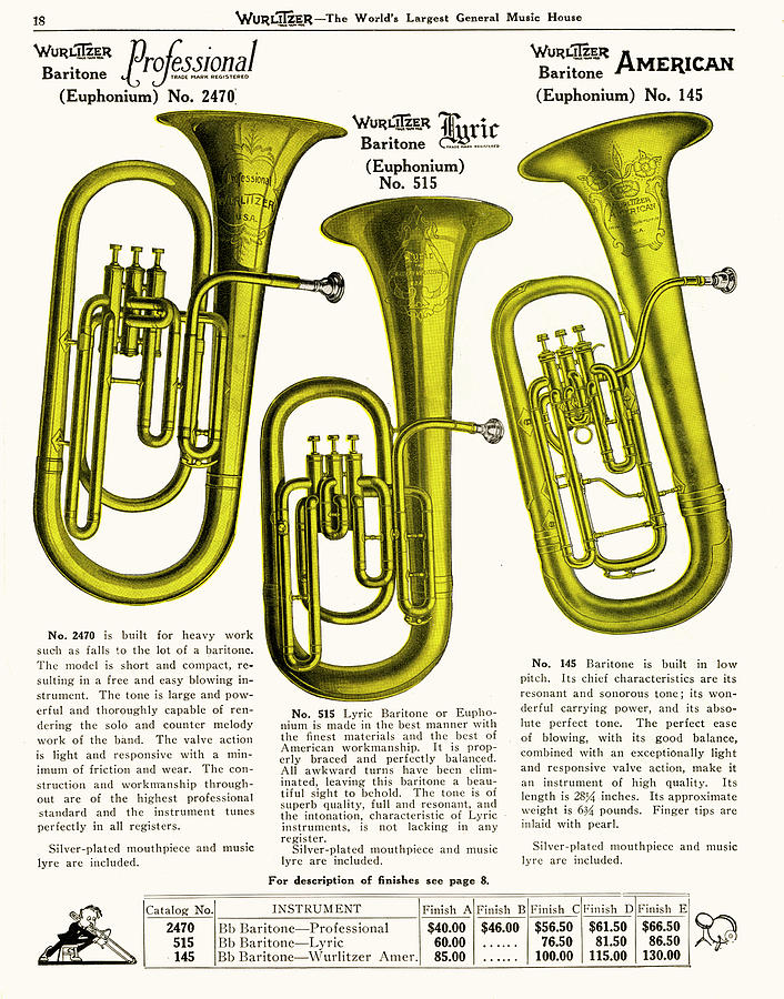 Music Drawing -  Three Euphoniums (euphonia ?) by Mary Evans Picture Library