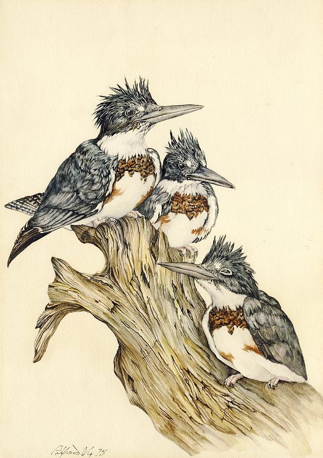  Three Kingfishers Painting by Alfred Ng
