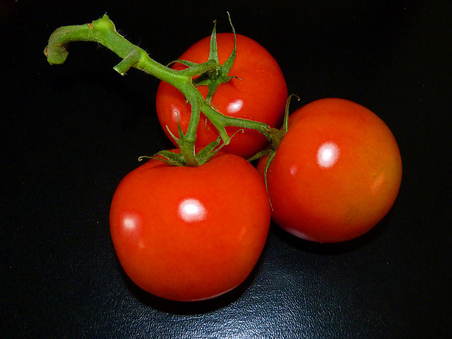  Three Red Tomatoes  Photograph by Susan Duda