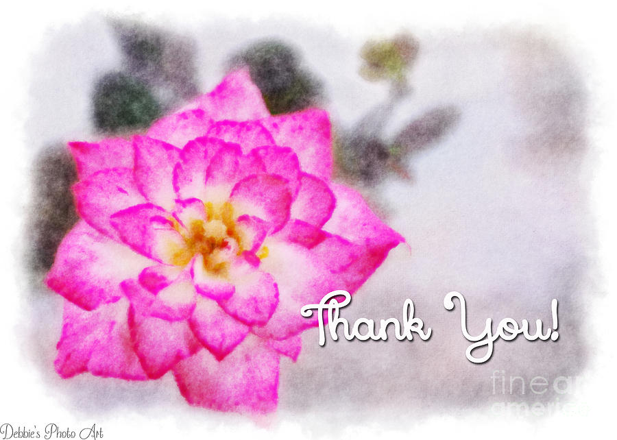  Thumbelina Rose - Digital Paint - Thank You Photograph by Debbie Portwood