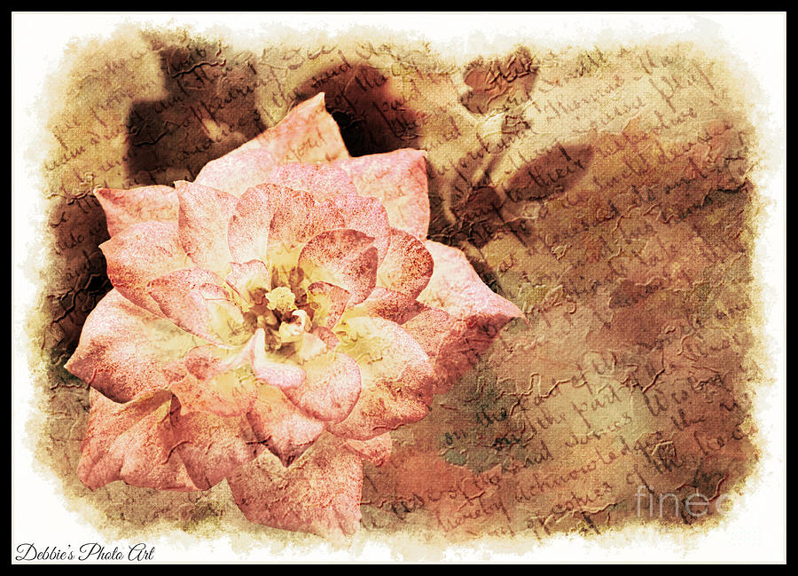  Thumbelina Rose - Miniature Rose - Digital Paint III Photograph by Debbie Portwood