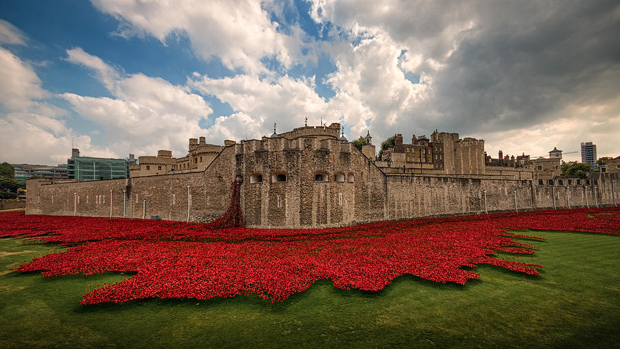 London Photograph -   Tower of London Remembers.  by Ian Hufton