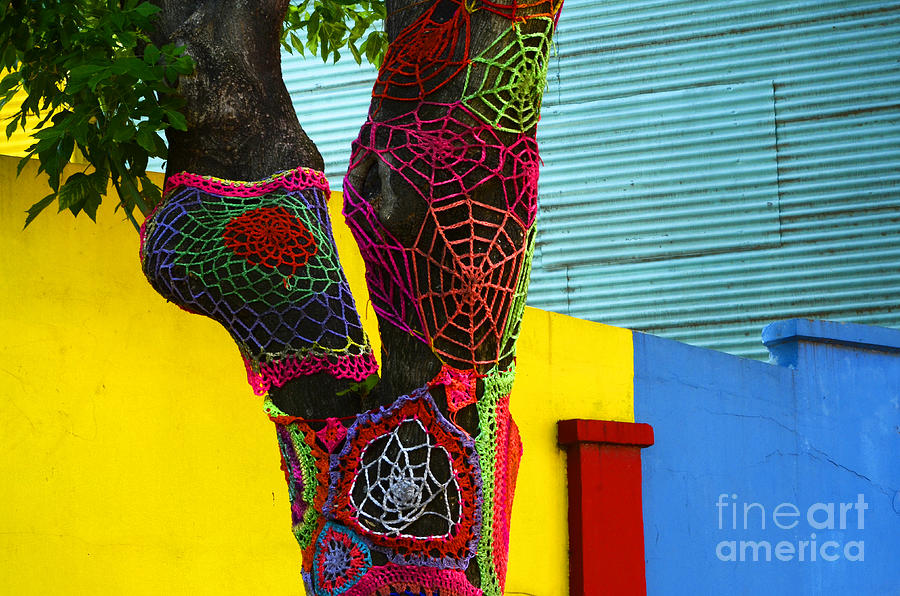 Tree Fashion Boca District Buenos Aires Photograph by Bob Christopher