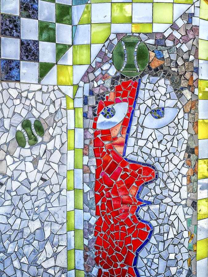  Two Faces Mosaics Photograph by Jo Ann Tomaselli