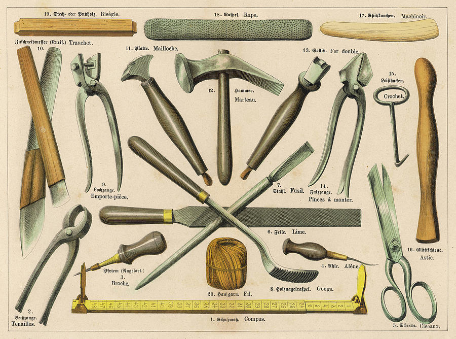 Tool Drawing -  Various Tools Used By A  Shoemaker Or by Mary Evans Picture Library