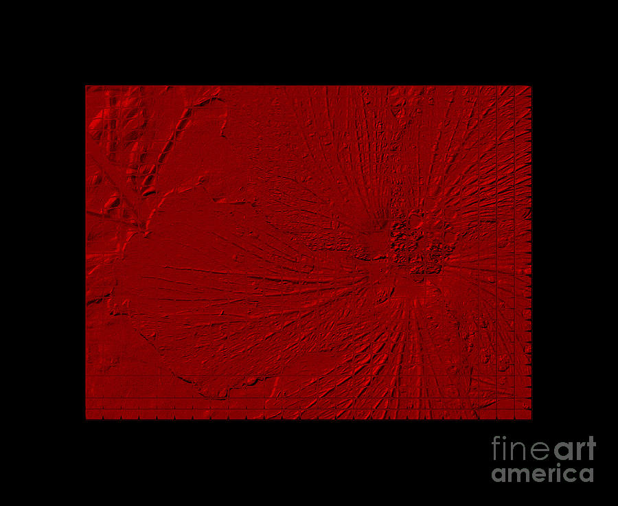  Very Special... Red Flower  with Black Digital Art by Oksana Semenchenko