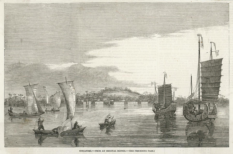 View Of The Harbour, With Boats Drawing by Illustrated London News Ltd ...