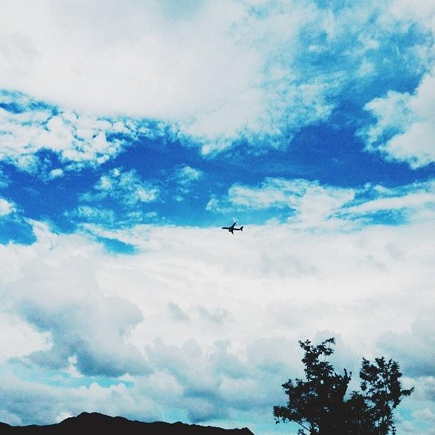 Nature Photograph - ✈ #vscocam #vsco #edit #photoftheday by Adrian Q